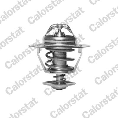 Termostat, płyn chłodzący CALORSTAT by Vernet th6319.82j