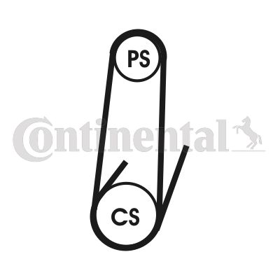 Pasek klinowy wielorowkowy CONTINENTAL CTAM 4PK711ELAST