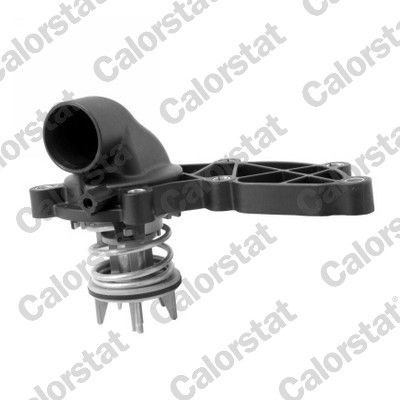 Termostat, płyn chłodzący CALORSTAT by Vernet th7281.85j