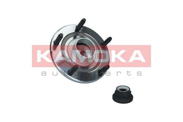 Zestaw łożysk koła KAMOKA 5500254