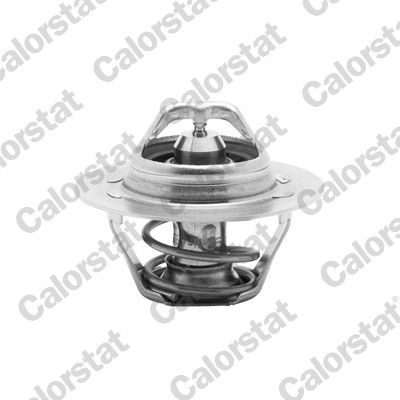Termostat, płyn chłodzący CALORSTAT by Vernet th6045.89j