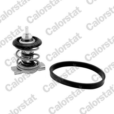 Termostat, płyn chłodzący CALORSTAT by Vernet th9200.88j