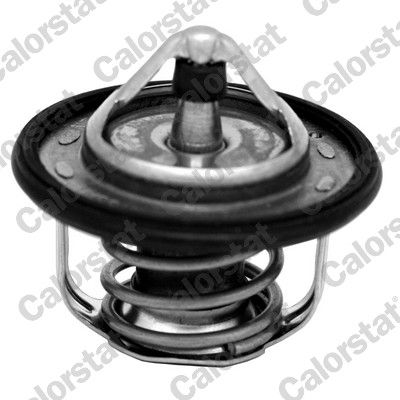 Termostat, płyn chłodzący CALORSTAT by Vernet TH7300.95J