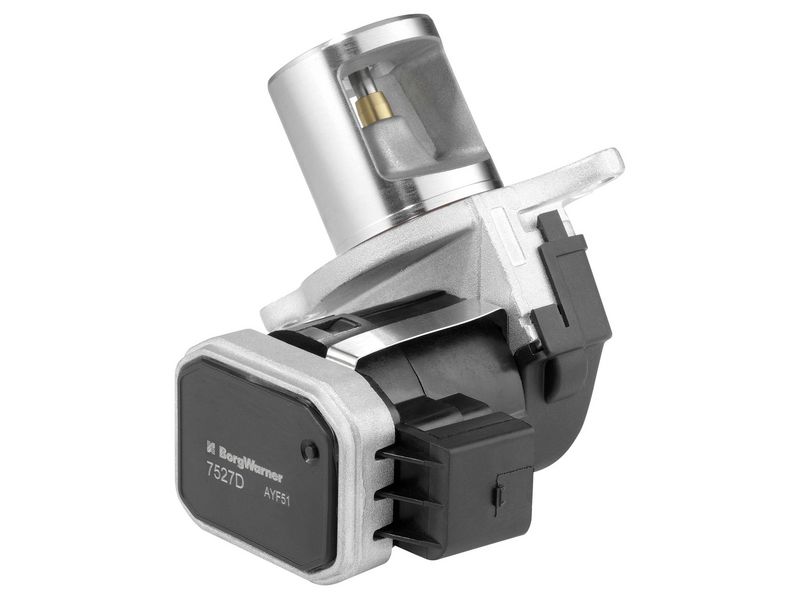 Zawór AGR BorgWarner 7527D