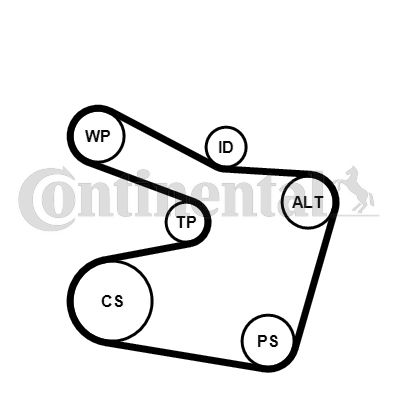 Zestaw paska klinowego wielorowkowego CONTINENTAL CTAM 6PK1538K2