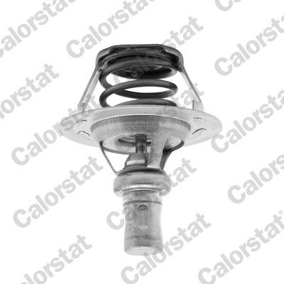Termostat, płyn chłodzący CALORSTAT by Vernet th5284.86j
