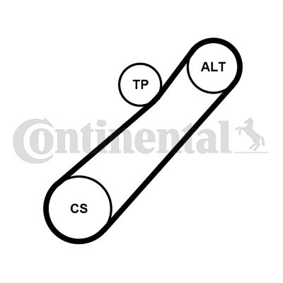 Zestaw paska klinowego wielorowkowego CONTINENTAL CTAM 7PK880K1