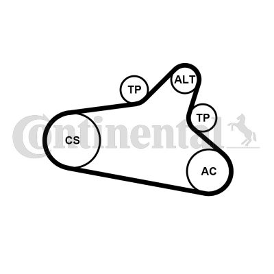 Zestaw paska klinowego wielorowkowego CONTINENTAL CTAM 6PK1020EXTRAK1