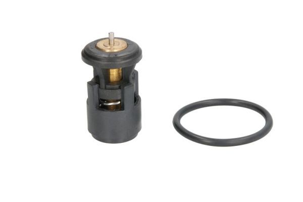Termostat, płyn chłodzący THERMOTEC D2A005TT