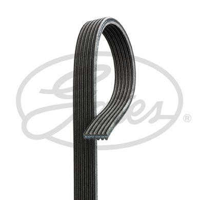 Pasek klinowy wielorowkowy GATES 6dpk1195