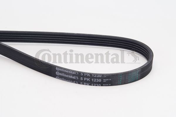 Pasek klinowy wielorowkowy CONTINENTAL CTAM 5PK1230