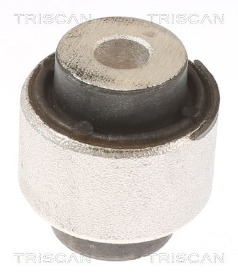 Łożyskowanie, wahacz TRISCAN 850081805
