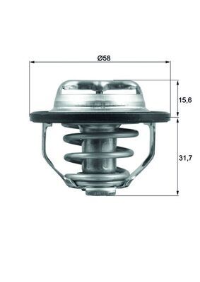 Termostat, płyn chłodzący MAHLE TX12282