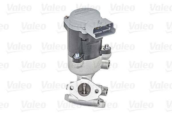 Zawór AGR VALEO 700410
