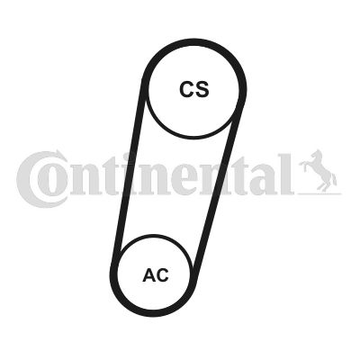 Zestaw paska klinowego wielorowkowego CONTINENTAL CTAM 5PK705 ELAST T1