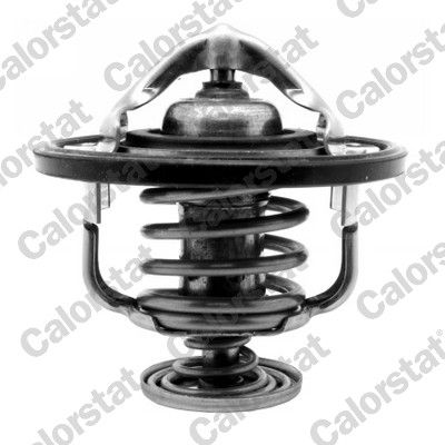 Termostat, płyn chłodzący CALORSTAT by Vernet TH7261.88J
