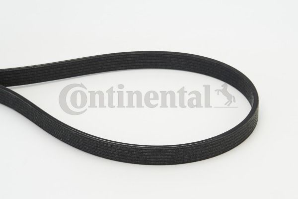 Pasek klinowy wielorowkowy CONTINENTAL CTAM 6DPK1817