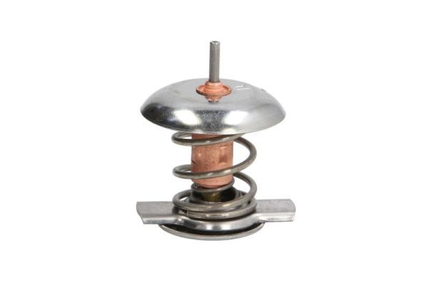 Termostat, płyn chłodzący THERMOTEC D2Y002TT