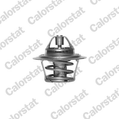 Termostat, płyn chłodzący CALORSTAT by Vernet th3319.88j