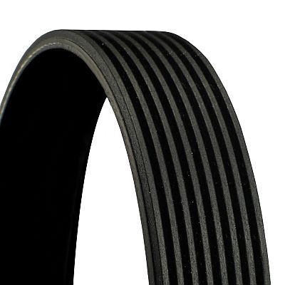Pasek klinowy wielorowkowy CONTINENTAL CTAM 8 PK 1475