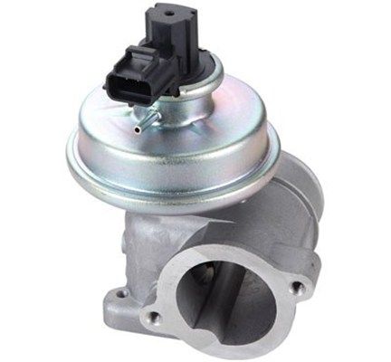 Zawór AGR MAGNETI MARELLI 571822112109