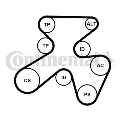 Zestaw paska klinowego wielorowkowego CONTINENTAL CTAM 7PK1855K1
