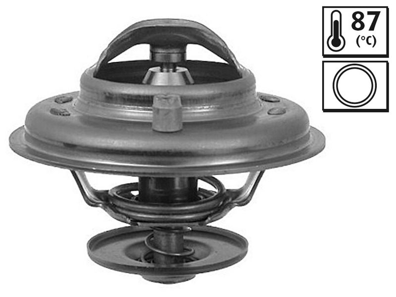Termostat, płyn chłodzący VALEO 820027