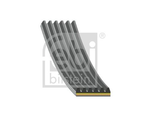 Pasek klinowy wielorowkowy FEBI BILSTEIN 185841