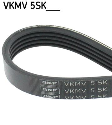 Pasek klinowy wielorowkowy SKF VKMV5SK595