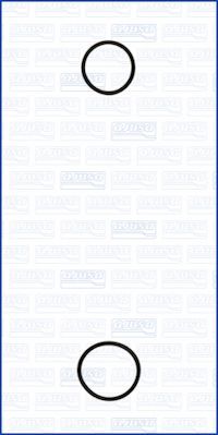 Zestaw uszczelek, pompa wody AJUSA 77001900