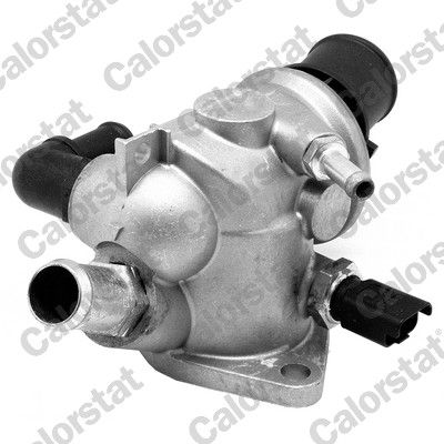 Termostat, płyn chłodzący CALORSTAT by Vernet th6824.88j