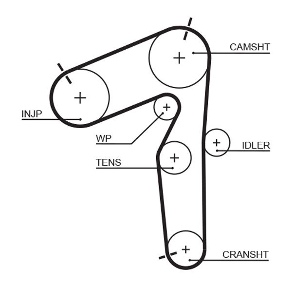 Pasek rozrządu GATES 5462xs