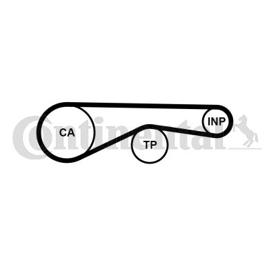 Pasek rozrządu CONTINENTAL CTAM CT1095