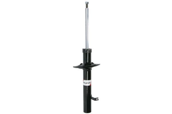 Amortyzator Magnum Technology AGC064
