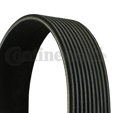 Pasek klinowy wielorowkowy CONTINENTAL CTAM 10PK1815