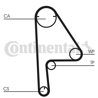 Pasek rozrządu CONTINENTAL CTAM CT1081