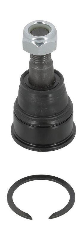 Przegub mocujący / prowadzący MOOG HO-BJ-10556