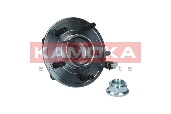 Zestaw łożysk koła KAMOKA 5500194