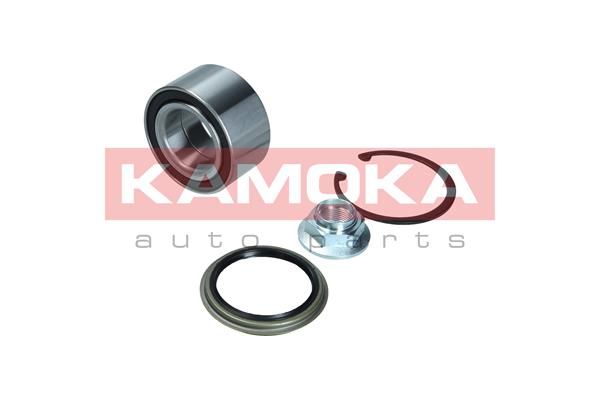 Zestaw łożysk koła KAMOKA 5600174