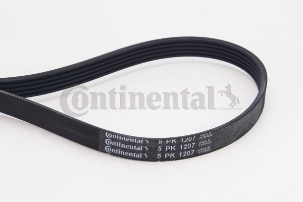 Pasek klinowy wielorowkowy CONTINENTAL CTAM 5PK1207