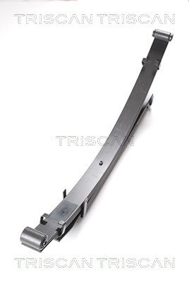Pakiet sprężyn TRISCAN 876542006