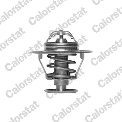 Termostat, płyn chłodzący CALORSTAT by Vernet th5792.76j