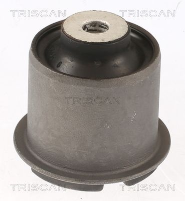 Łożyskowanie, wahacz TRISCAN 850081800