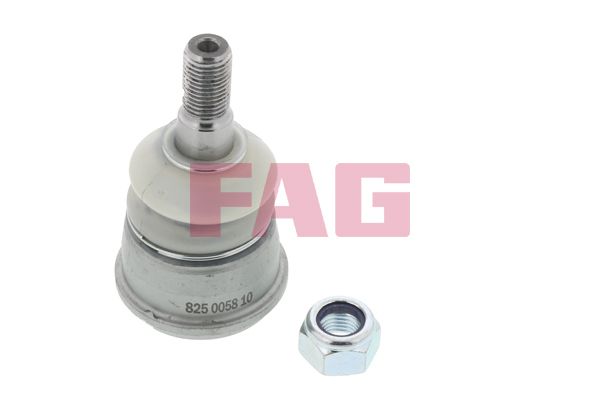 Przegub mocujący / prowadzący FAG 825 0058 10