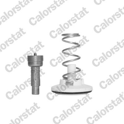 Termostat, płyn chłodzący CALORSTAT by Vernet th6965.87