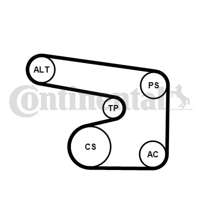 Zestaw paska klinowego wielorowkowego CONTINENTAL CTAM 6PK1900K1