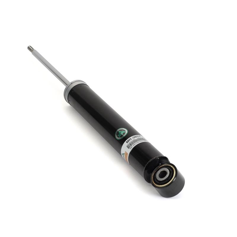 Amortyzator ARNOTT MR-3857