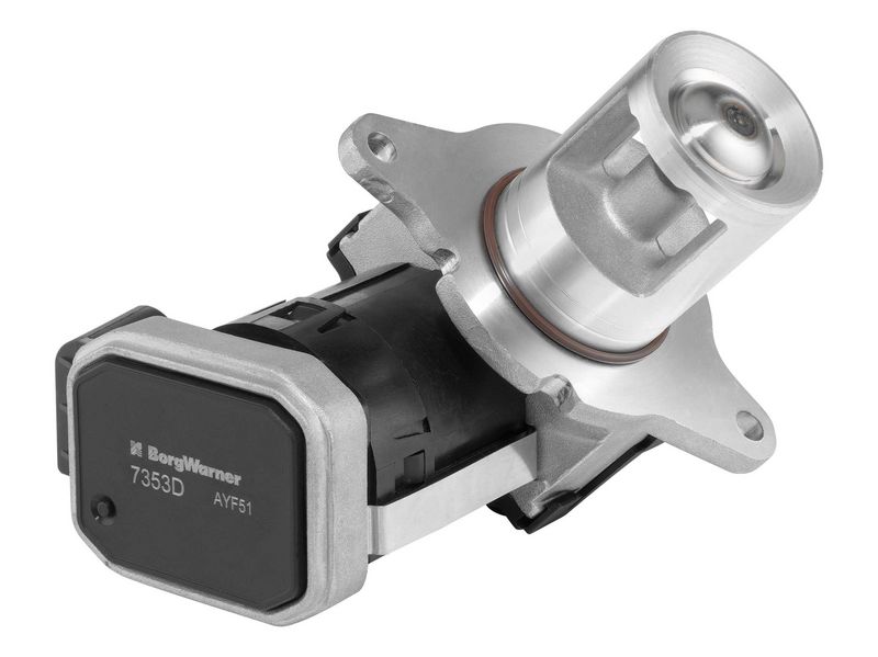 Zawór AGR BorgWarner 7353D