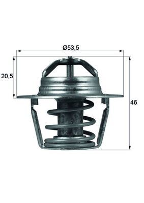 Termostat, płyn chłodzący MAHLE TX9189D