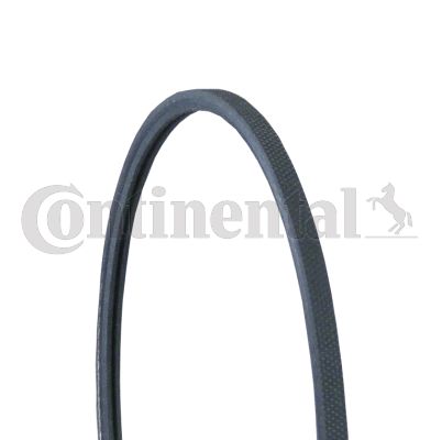 Pasek klinowy wielorowkowy CONTINENTAL CTAM 2PJ800